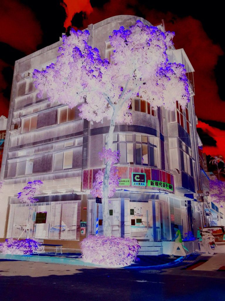 私風景1JPG.JPG 私風景1JPG.JPG