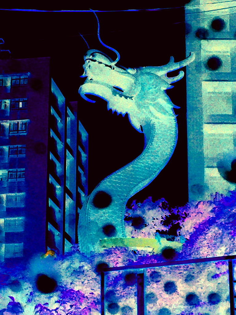 海龍王.jpg13.jpg 海龍王.jpg13.jpg