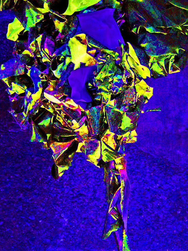 外星植物4jpg.jpg 外星植物4jpg.jpg
