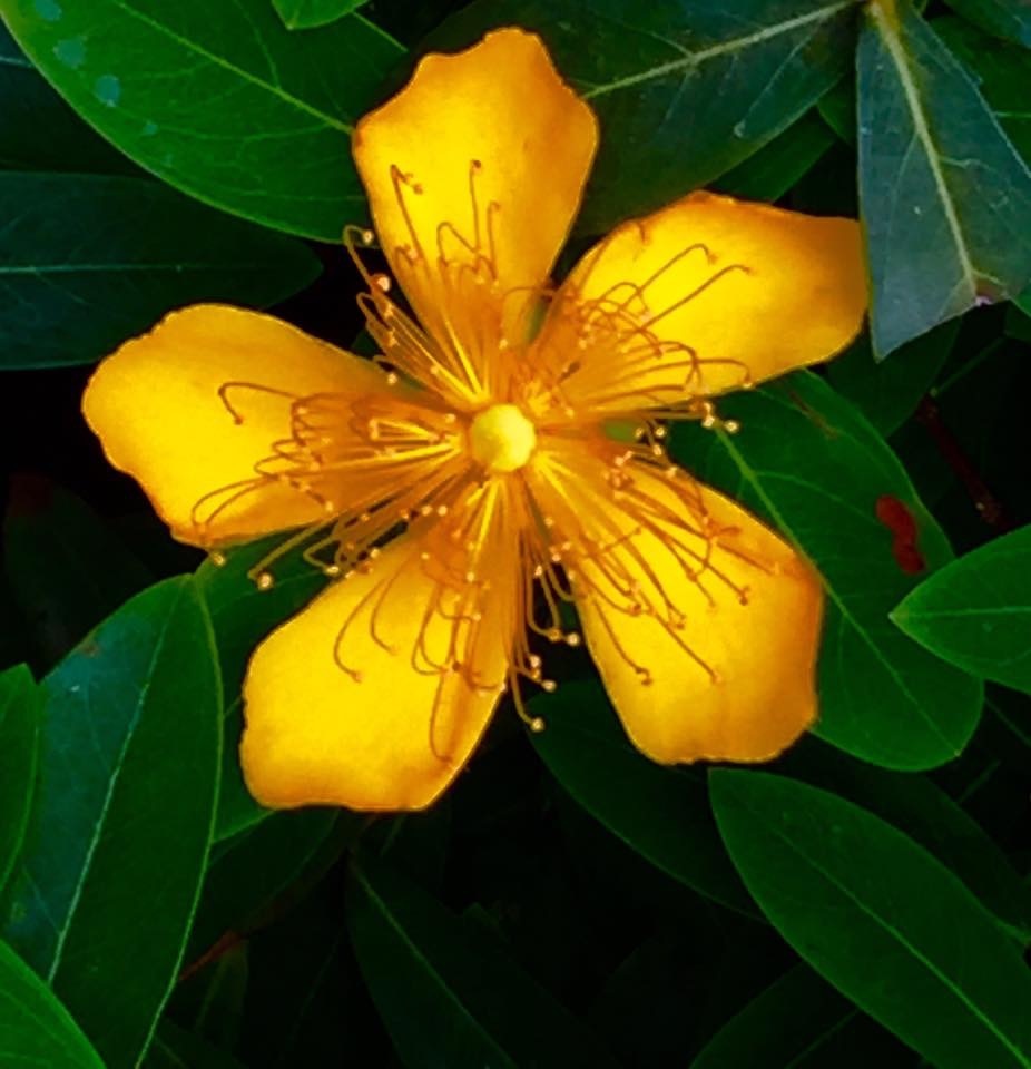 花花世界(三).JPG 花花世界(三).JPG