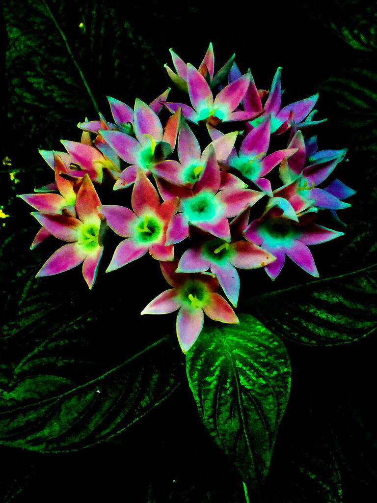 花花世界(四).jpg2jpg.jpg 花花世界(四).jpg2jpg.jpg