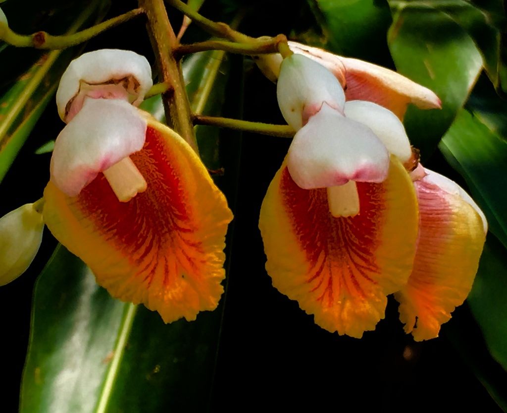 花花世界(五).jpg 花花世界(五).jpg