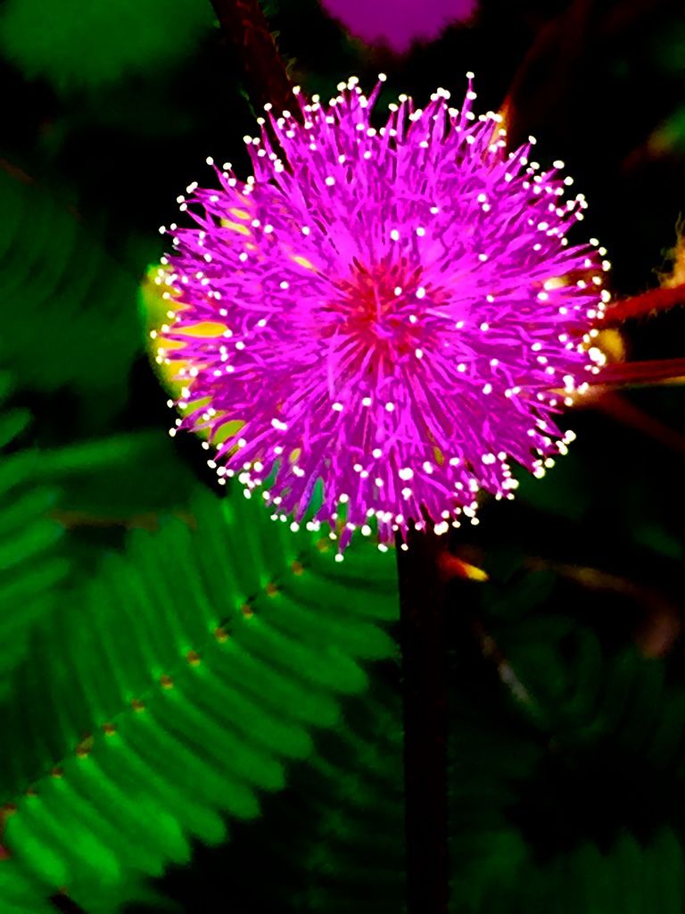 花花世界(七).jpg2.jpg 花花世界(七).jpg2.jpg