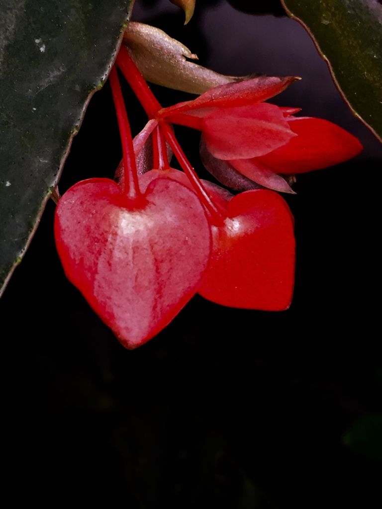 花花世界(九).jpg 花花世界(九).jpg