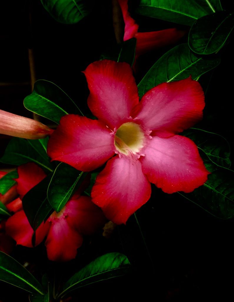 花花世界(十一).jpg 花花世界(十一).jpg