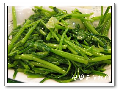 照片 017.jpg 照片 017.jpg