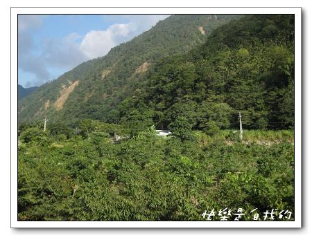 綠山.jpg 綠山.jpg