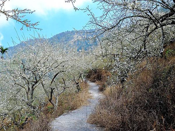 20161225235627_69.jpg 20161225235627_69.jpg