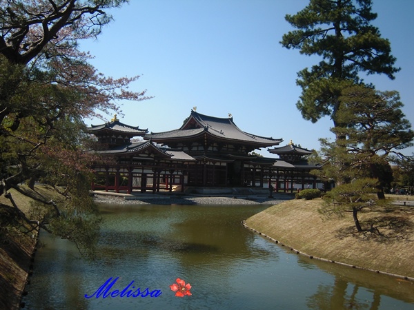 平等院-2.JPG