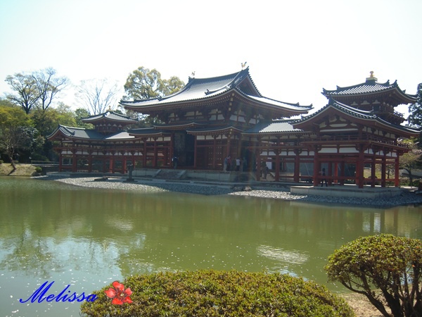 平等院-1.JPG