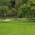 10/15 Public Garden