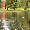 10/15 Public Garden