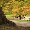 10/15 Public Garden