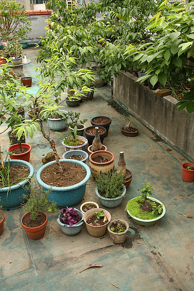 2011.04.23 屋頂花園