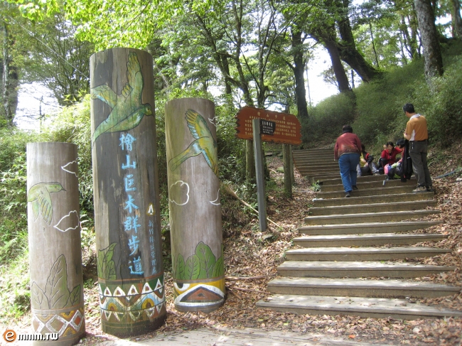 檜山巨木群森林浴步道