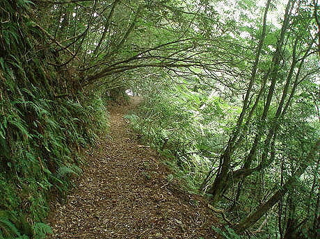 新竹五峰．霞喀羅古道（清泉段）