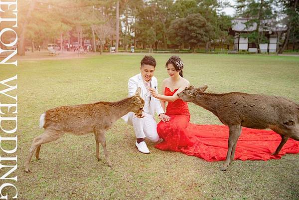 高雄自助禮服 (1).jpg