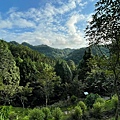 台中新社薰衣草森林_210826_51.jpg