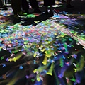 LINE_ALBUM_teamlab_211020_7.jpg