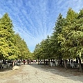 IMG_9714.JPG