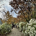 IMG_9457.JPG