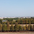 DJI_0012.MP4_20220121_232443.715.jpg