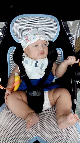 DSC_0321.jpg DSC_0321.jpg