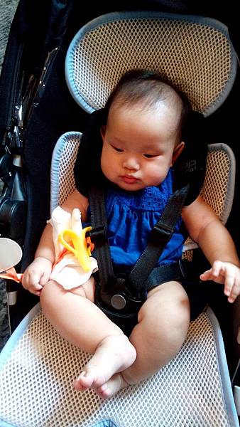 DSC_0323.jpg DSC_0323.jpg