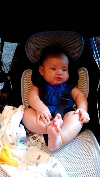 DSC_0341.jpg DSC_0341.jpg