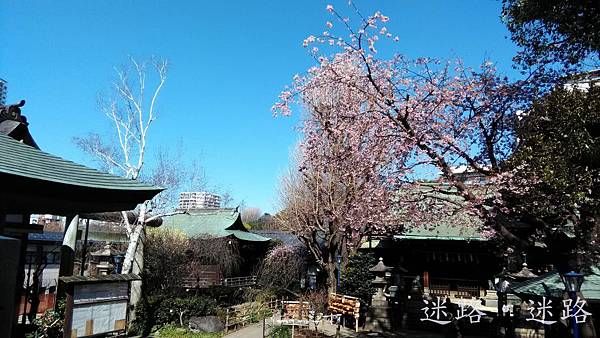 花園稻荷神社3.jpg