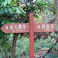 DSC00762_縮小大小.JPG