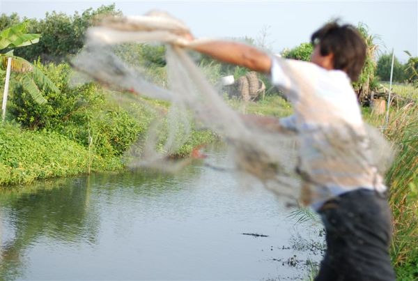 灑網捕魚囉~抓魚上來考
