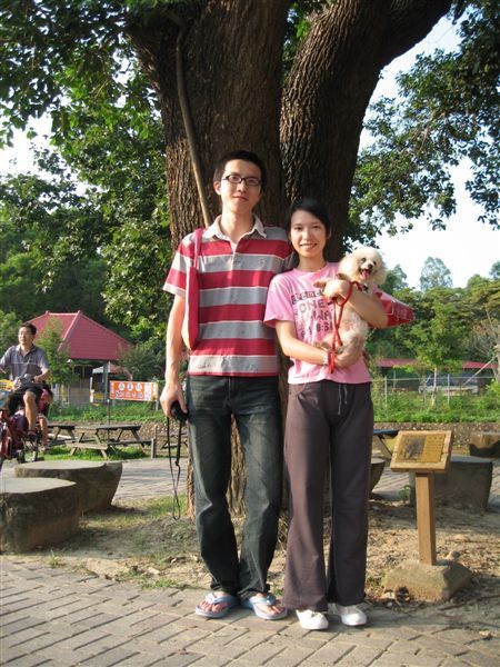 夫妻樹(羞)