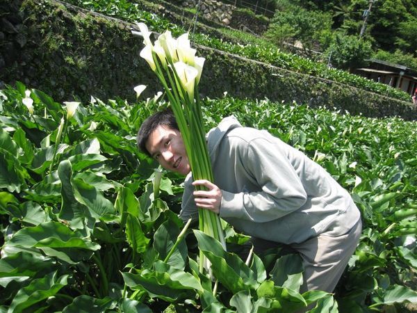 最後一枝嚕