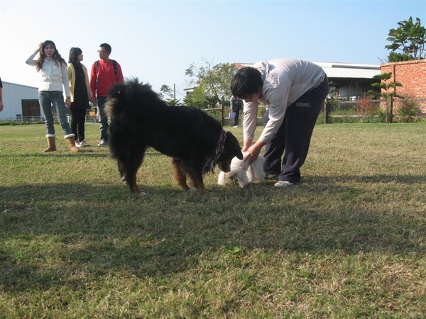 不熟悉所以很害怕