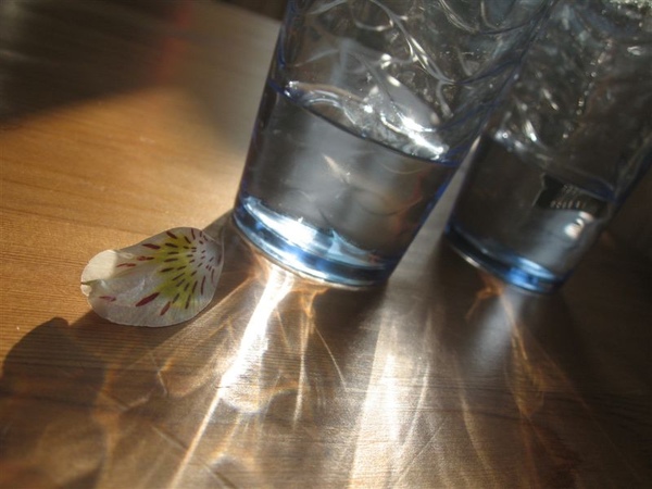 水杯