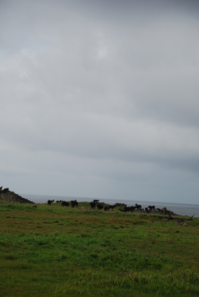 DSC_3026.JPG