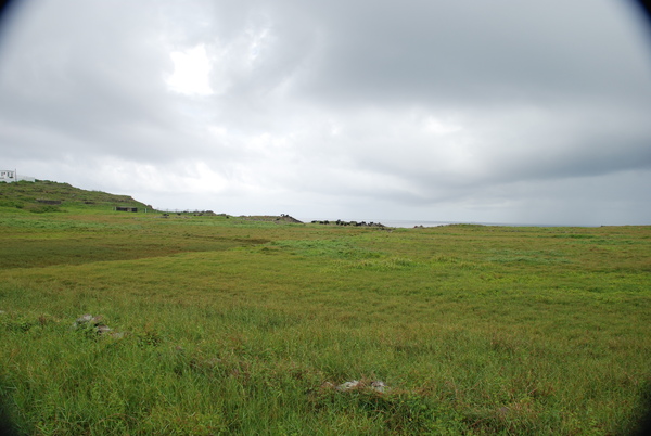 DSC_3028.JPG