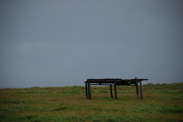 DSC_3029.JPG