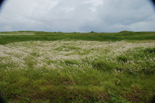 DSC_3096.JPG