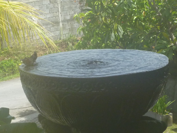 P1000800.JPG
