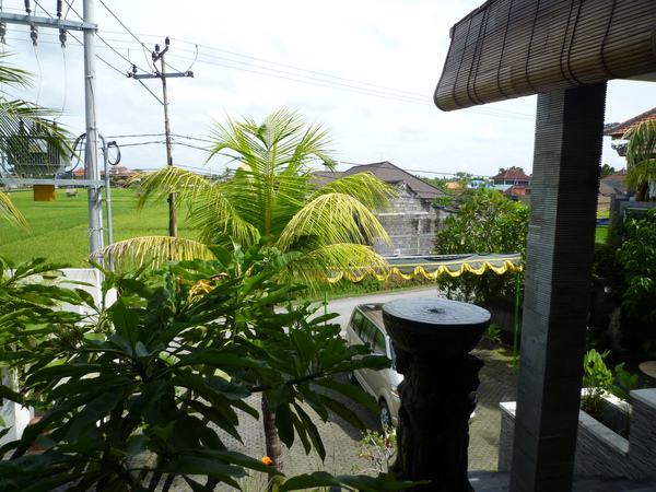 P1000482.JPG
