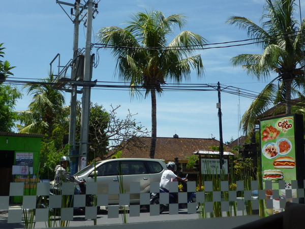 P1000813.JPG