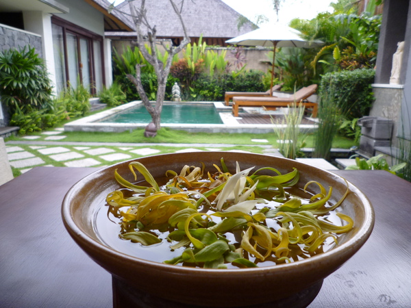 P1000434.JPG