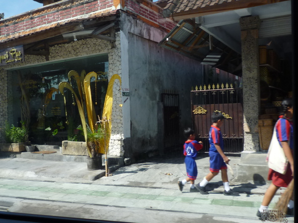 P1000997.JPG