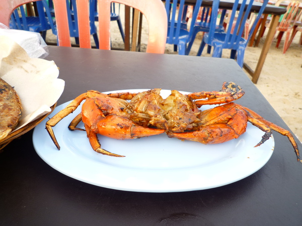 P1000760.JPG