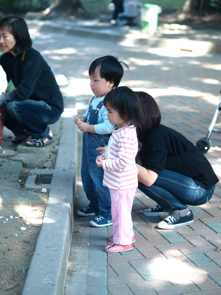 P1201575.JPG