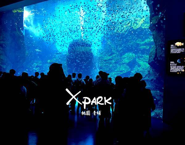 Xpark.jpg
