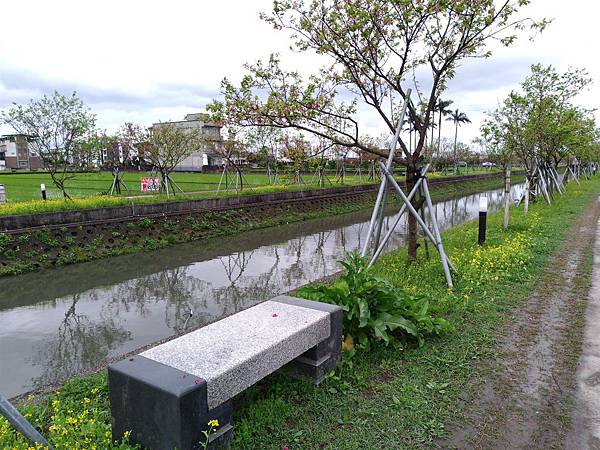 羅莊櫻花步道