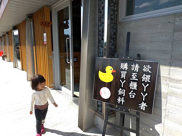 宜蘭礁溪景點【甲鳥園】下雨天也可以在室內餵鴨鴨喔！五星級清水